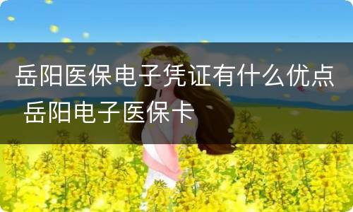 岳阳医保电子凭证有什么优点 岳阳电子医保卡