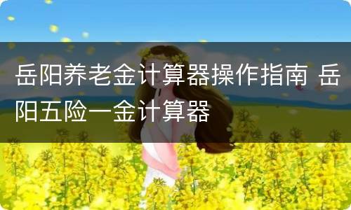 岳阳养老金计算器操作指南 岳阳五险一金计算器