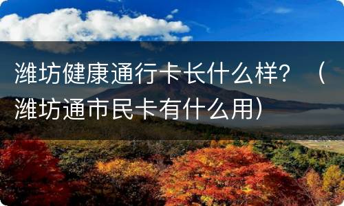 潍坊健康通行卡长什么样？（潍坊通市民卡有什么用）