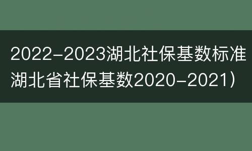 2022-2023湖北社保基数标准（湖北省社保基数2020-2021）