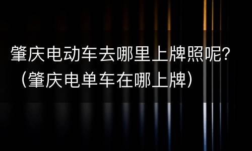 肇庆电动车去哪里上牌照呢？（肇庆电单车在哪上牌）
