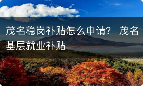 茂名稳岗补贴怎么申请？ 茂名基层就业补贴
