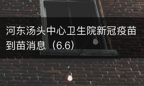 河东汤头中心卫生院新冠疫苗到苗消息（6.6）