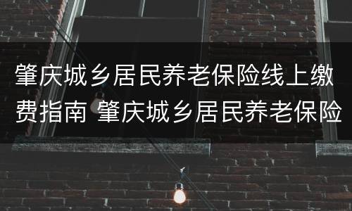 肇庆城乡居民养老保险线上缴费指南 肇庆城乡居民养老保险线上缴费指南最新