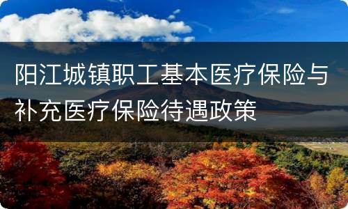 阳江城镇职工基本医疗保险与补充医疗保险待遇政策