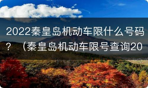 2022秦皇岛机动车限什么号码？（秦皇岛机动车限号查询2020）