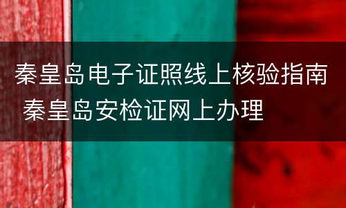 秦皇岛电子证照线上核验指南 秦皇岛安检证网上办理