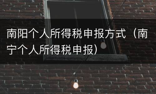 南阳个人所得税申报方式（南宁个人所得税申报）