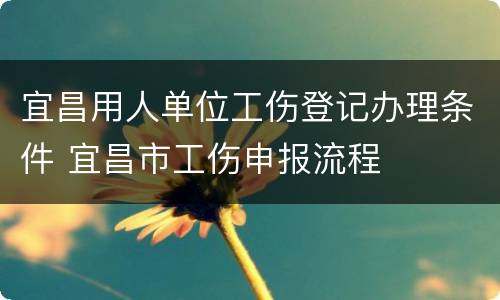 宜昌用人单位工伤登记办理条件 宜昌市工伤申报流程