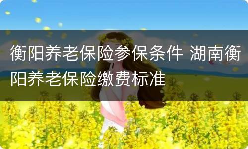 衡阳养老保险参保条件 湖南衡阳养老保险缴费标准