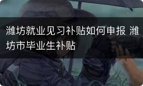 潍坊就业见习补贴如何申报 潍坊市毕业生补贴
