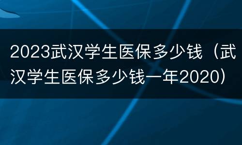 2023武汉学生医保多少钱（武汉学生医保多少钱一年2020）