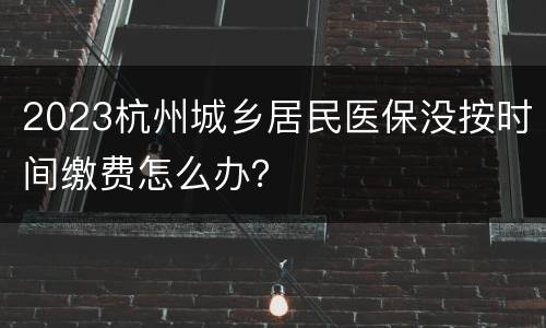 2023杭州城乡居民医保没按时间缴费怎么办？