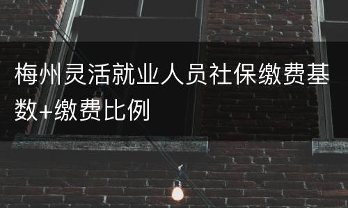 梅州灵活就业人员社保缴费基数+缴费比例