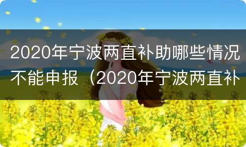2020年宁波两直补助哪些情况不能申报（2020年宁波两直补助哪些情况不能申报个税）