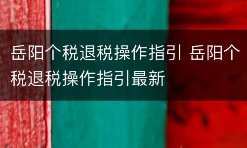 岳阳个税退税操作指引 岳阳个税退税操作指引最新