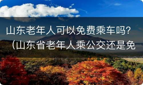 山东老年人可以免费乘车吗？（山东省老年人乘公交还是免费么）