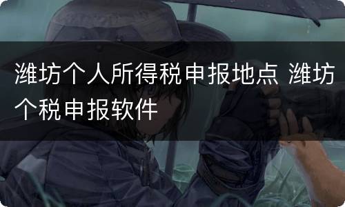 潍坊个人所得税申报地点 潍坊个税申报软件