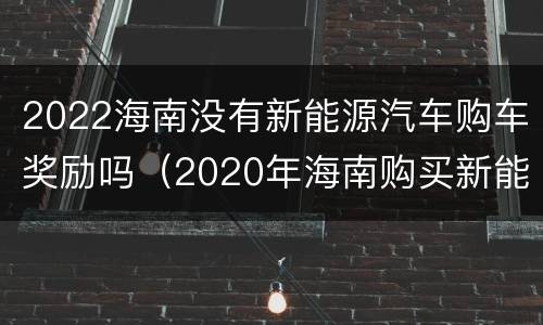 2022海南没有新能源汽车购车奖励吗（2020年海南购买新能源汽车补贴）