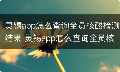 灵锡app怎么查询全员核酸检测结果 灵锡app怎么查询全员核酸检测结果报告