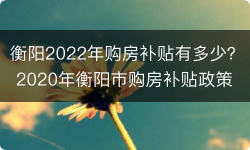 衡阳2022年购房补贴有多少？ 2020年衡阳市购房补贴政策