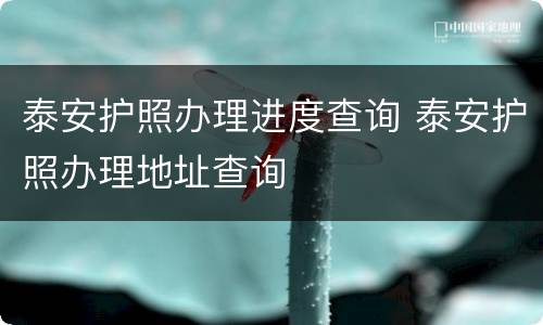 泰安护照办理进度查询 泰安护照办理地址查询
