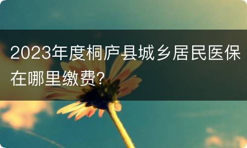 2023年度桐庐县城乡居民医保在哪里缴费？