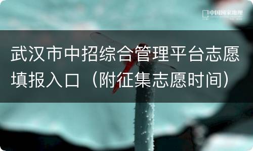 武汉市中招综合管理平台志愿填报入口（附征集志愿时间）