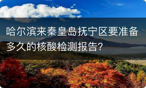 哈尔滨来秦皇岛抚宁区要准备多久的核酸检测报告？