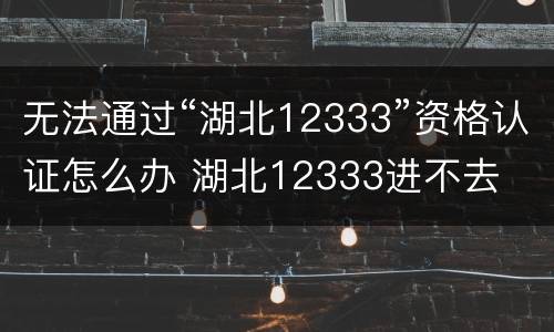 无法通过“湖北12333”资格认证怎么办 湖北12333进不去