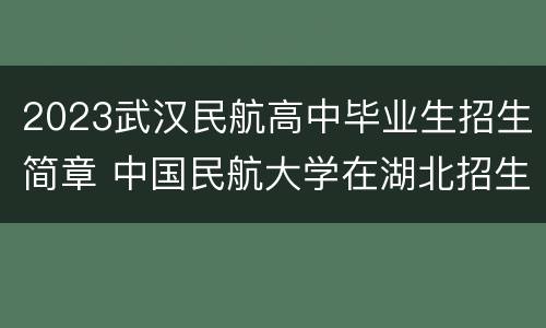 2023武汉民航高中毕业生招生简章 中国民航大学在湖北招生计划
