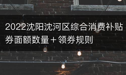 2022沈阳沈河区综合消费补贴券面额数量＋领券规则