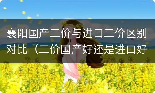 襄阳国产二价与进口二价区别对比（二价国产好还是进口好）
