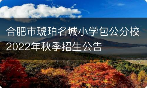 合肥市琥珀名城小学包公分校2022年秋季招生公告