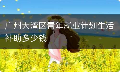 广州大湾区青年就业计划生活补助多少钱