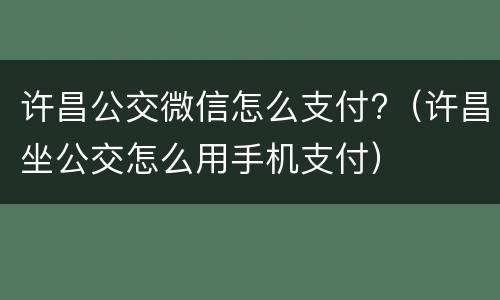 许昌公交微信怎么支付?（许昌坐公交怎么用手机支付）
