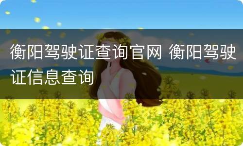 衡阳驾驶证查询官网 衡阳驾驶证信息查询