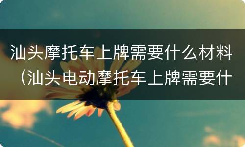 汕头摩托车上牌需要什么材料（汕头电动摩托车上牌需要什么证件）