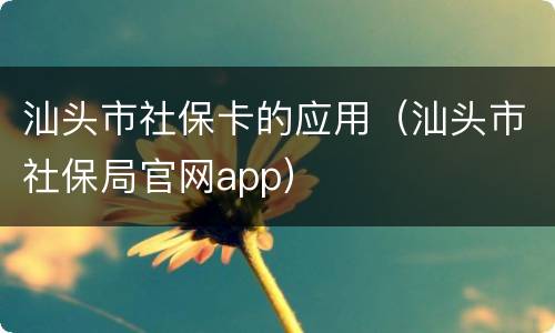 汕头市社保卡的应用（汕头市社保局官网app）