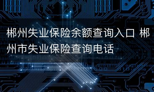 郴州失业保险余额查询入口 郴州市失业保险查询电话