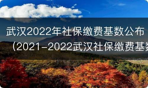 武汉2022年社保缴费基数公布（2021-2022武汉社保缴费基数）