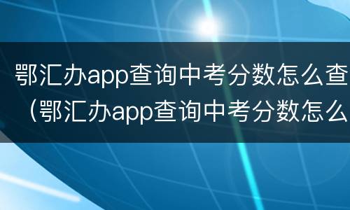 鄂汇办app查询中考分数怎么查（鄂汇办app查询中考分数怎么查看）