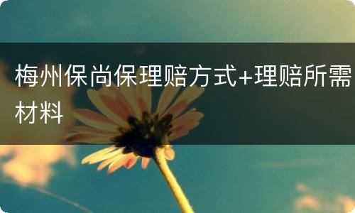 梅州保尚保理赔方式+理赔所需材料