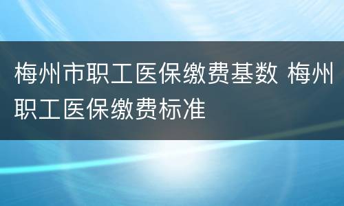 梅州市职工医保缴费基数 梅州职工医保缴费标准