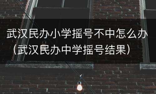 武汉民办小学摇号不中怎么办（武汉民办中学摇号结果）