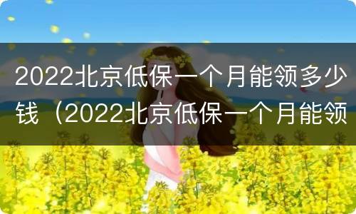 2022北京低保一个月能领多少钱（2022北京低保一个月能领多少钱呀）