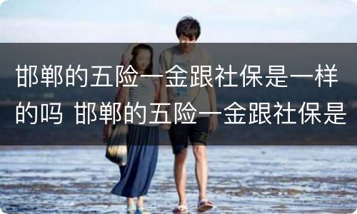 邯郸的五险一金跟社保是一样的吗 邯郸的五险一金跟社保是一样的吗怎么查