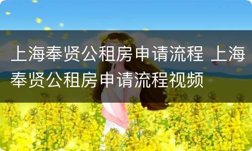上海奉贤公租房申请流程 上海奉贤公租房申请流程视频