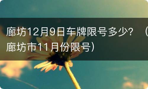 廊坊12月9日车牌限号多少？（廊坊市11月份限号）
