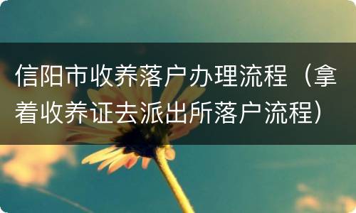 信阳市收养落户办理流程（拿着收养证去派出所落户流程）